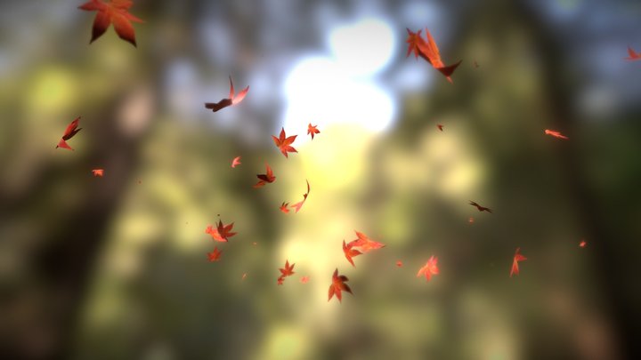 Fall leaves animation 3D Model