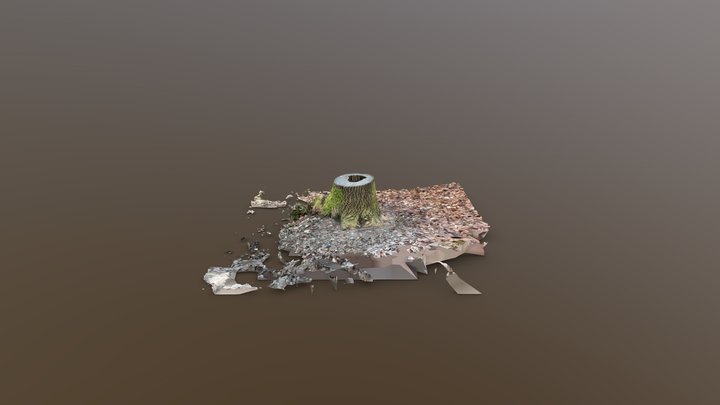 Hollow twisty oak stump 3D Model