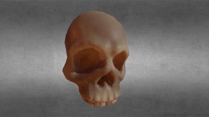 Low Poly Stylized Skull HD 2K 3D Model