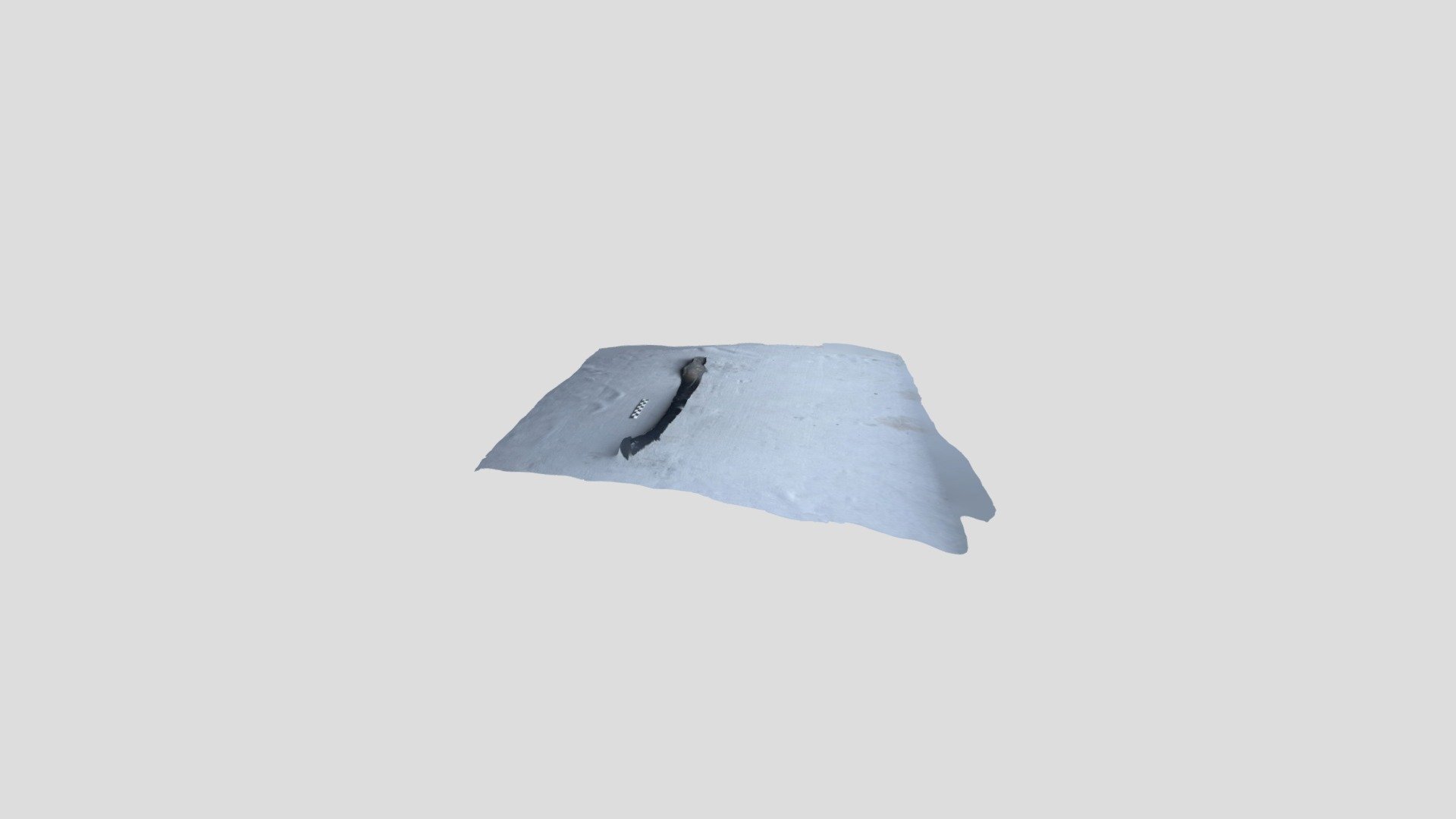Polycam capture