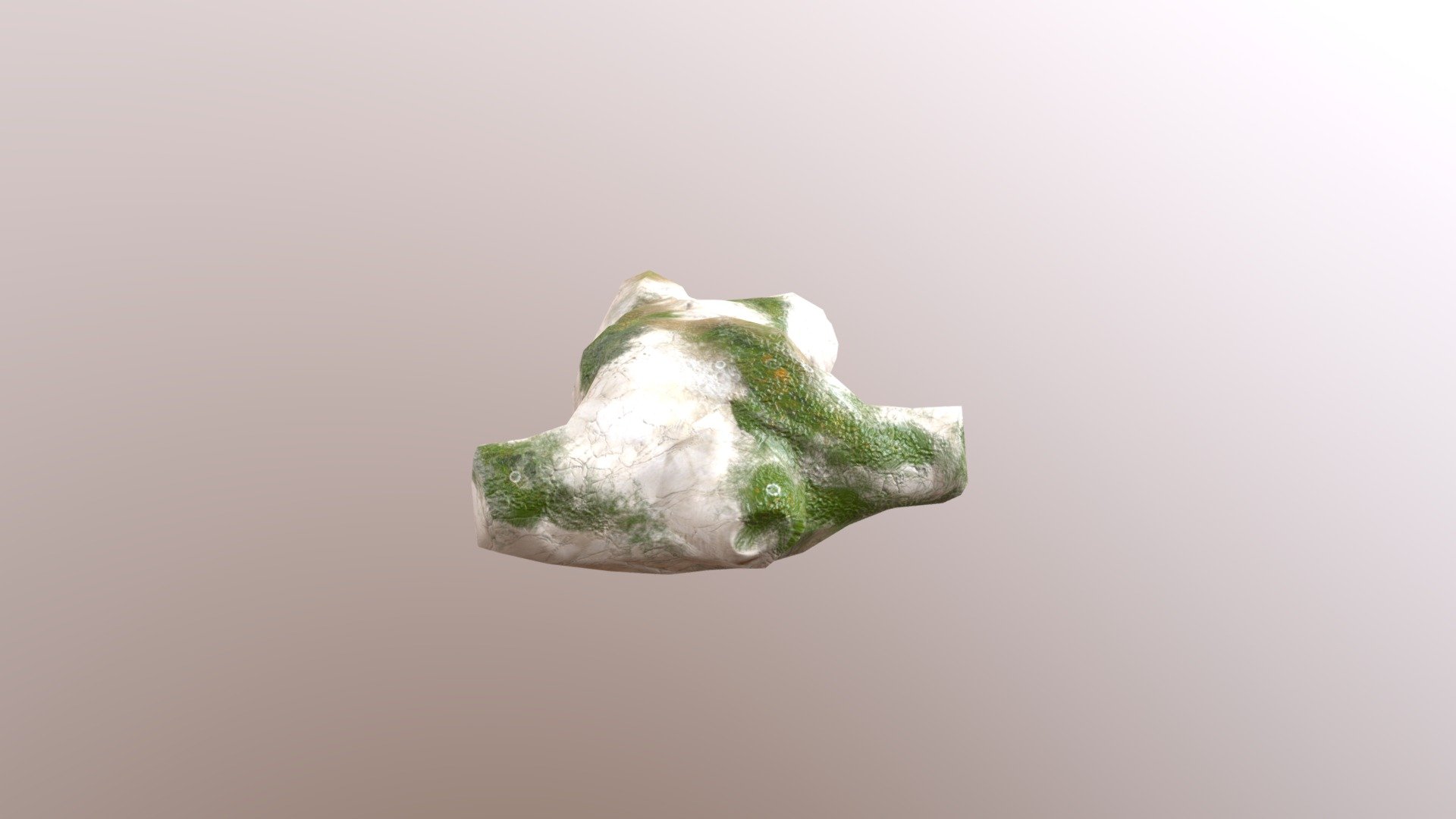 Marble Torso