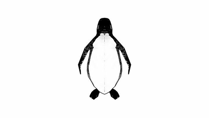 Penguin doodle 3D Model