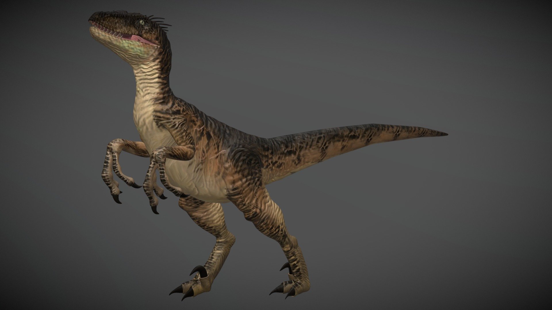 Ukázat Vyjet Slot Jurassic Park Velociraptor 3d Model Preambule úleva 