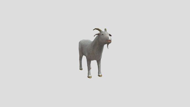 Goat