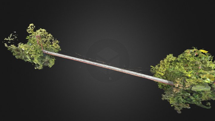 吊橋-2025-11 3D Model