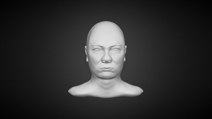 Face Anatomy Practice 3D Model