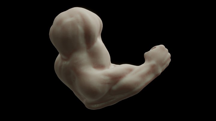 Flex 3D Model