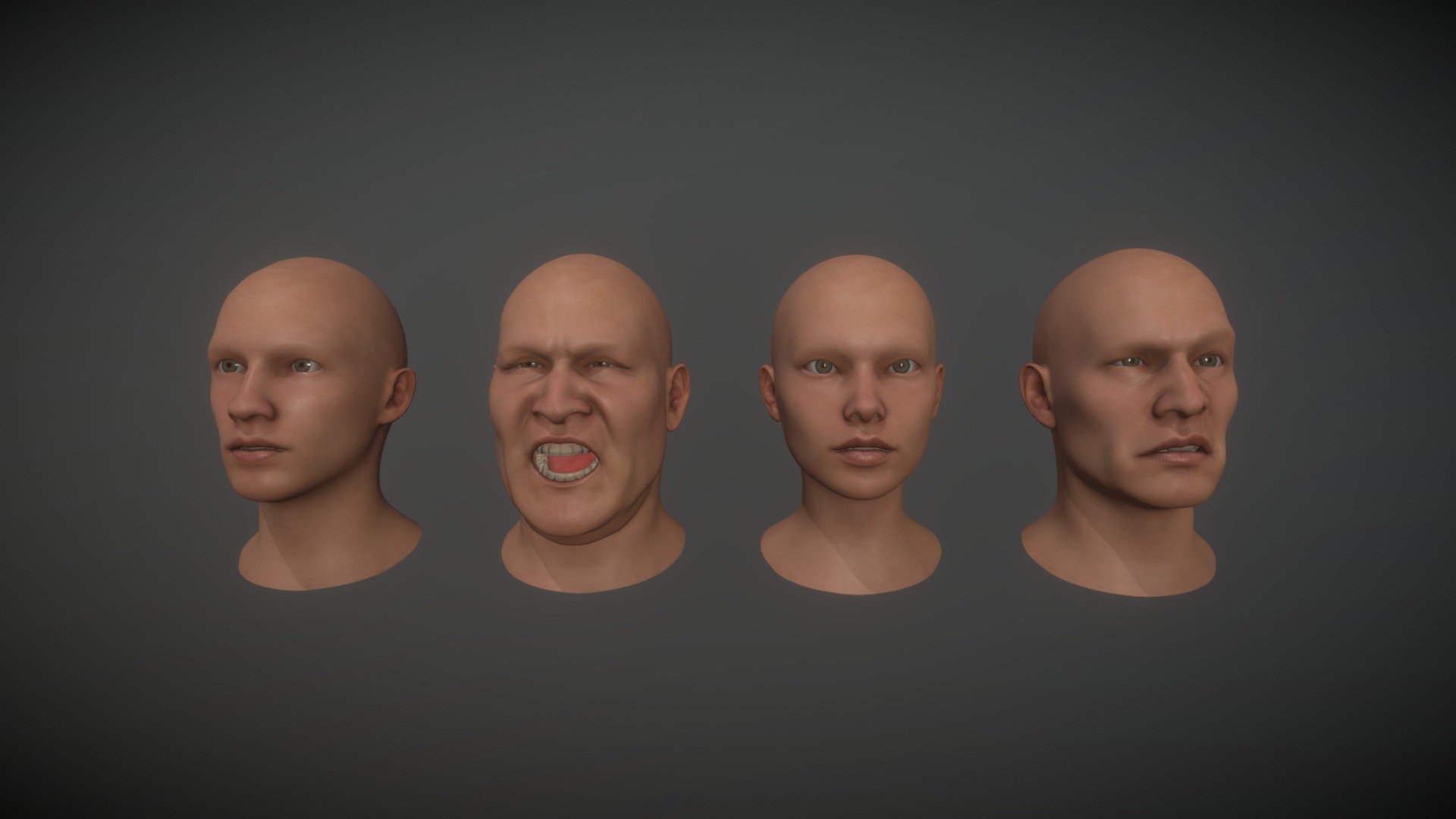 BaseMesh for Blender Random Head Generator Addon 3D model by JoeP