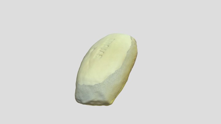Maya Canoe Model
