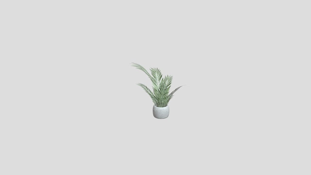 House Plant
