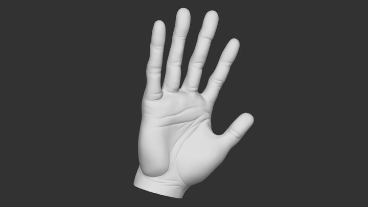 Hand Sculpt