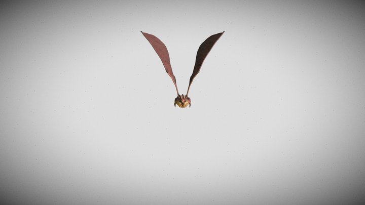 Dragon 3D Model