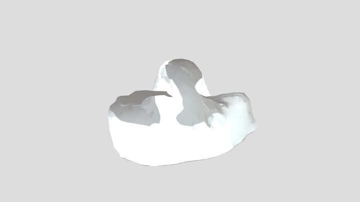 ocqa2_hair 3D Model