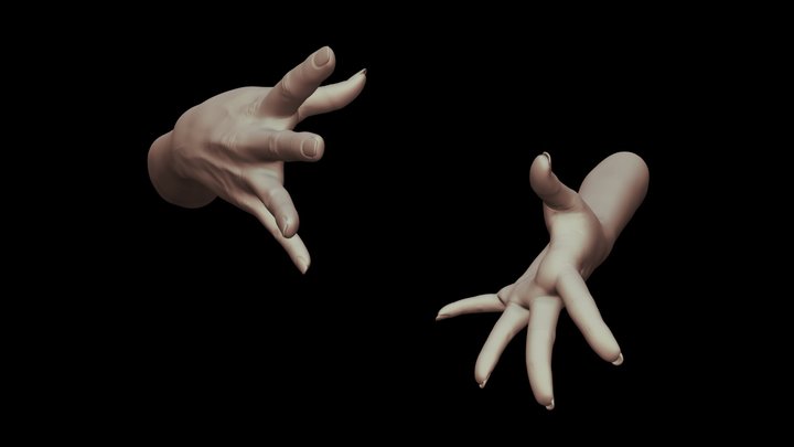 Female Hands 10 3D Model