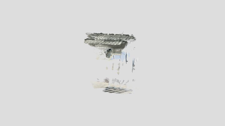 Scan_16 3D Model
