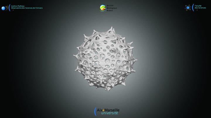 Radiolaria - Acrosphaera spinosa 3D Model