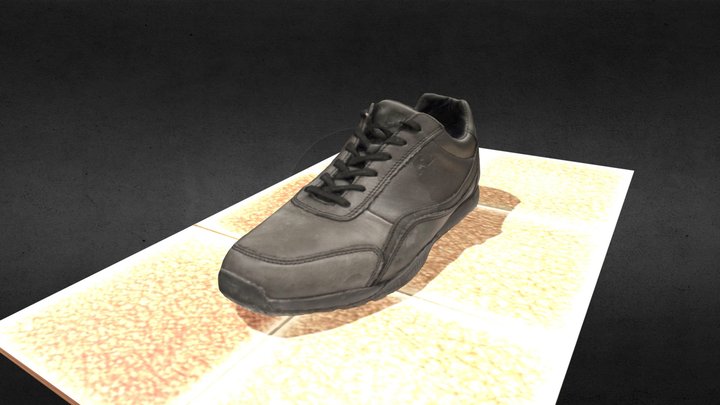 The Shoe - Agisoft Coaching 3D Model