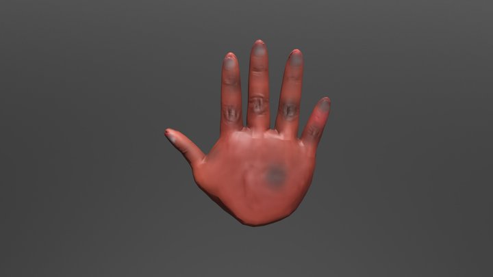 wtf_Hand 3D Model