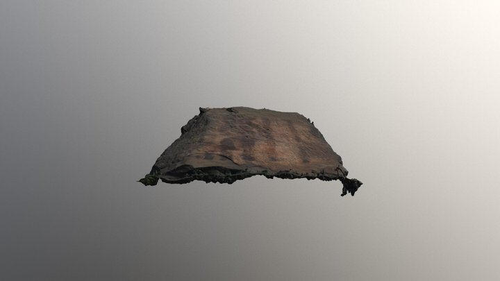 Hiwassee Rock Fragment, Back 3D Model