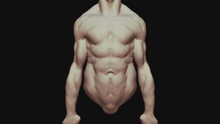 muscle man 3D Model