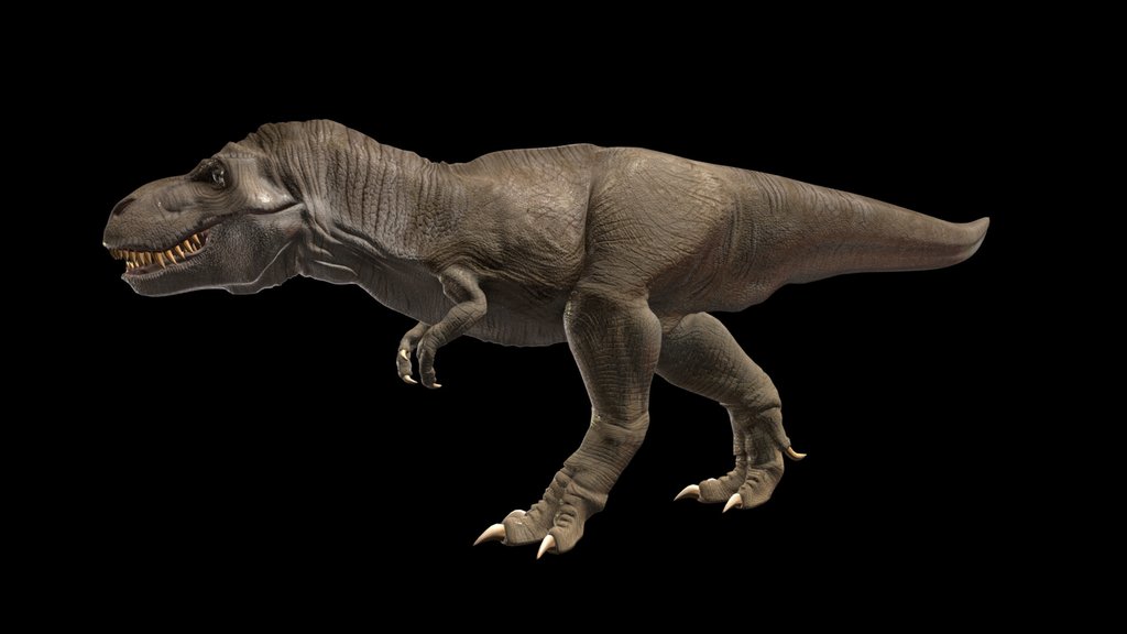 Tyrannosarus rex (Free model)