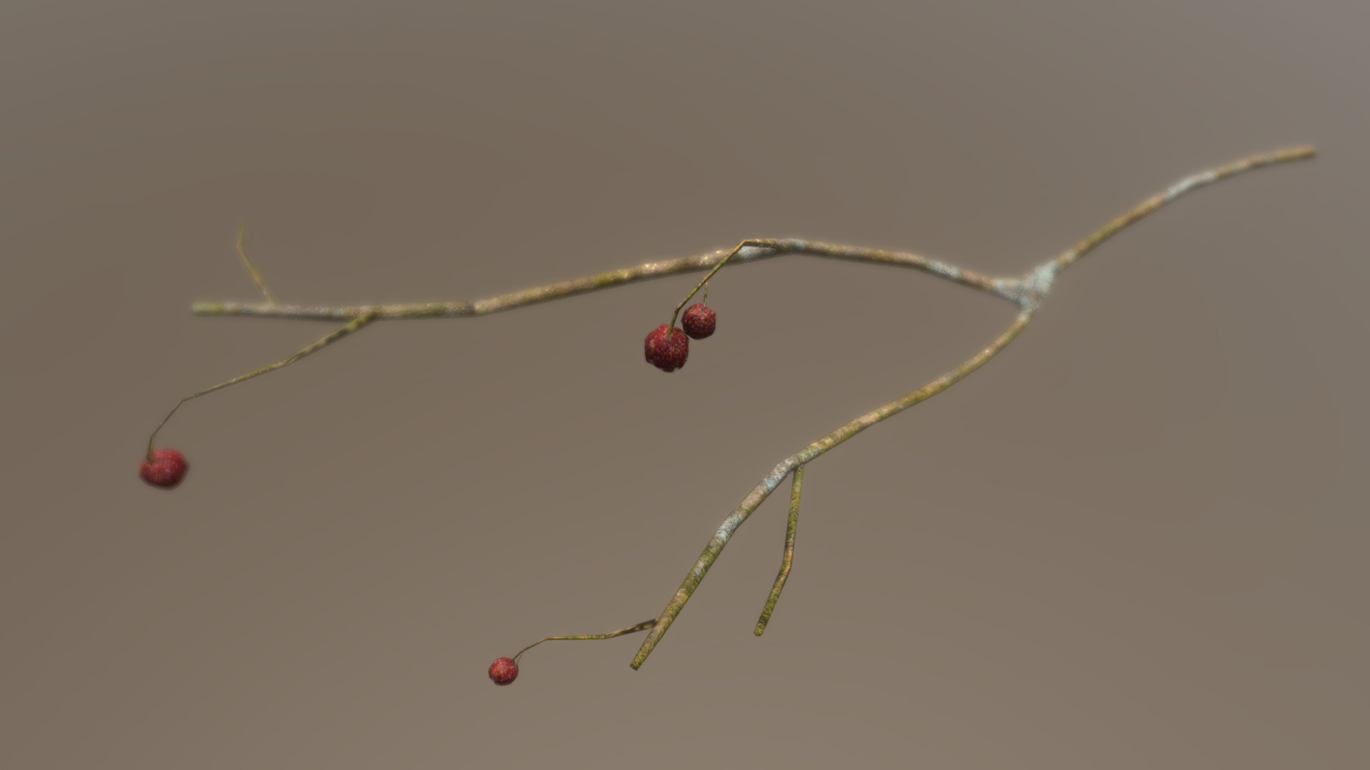 3D model Dry Branch with Berries - This is a 3D model of the Dry Branch with Berries. The 3D model is about a close-up of some berries.