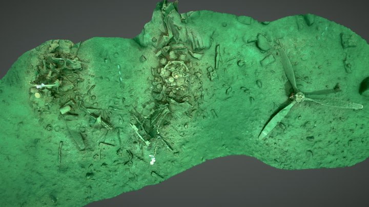 Hampden Bomber Wreck Site 3D Model
