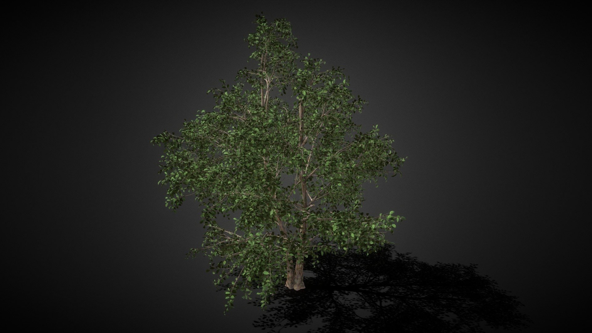 Big Tree 05 - Buy Royalty Free 3D model by Md Waziullah Apu (@ApuArt ...