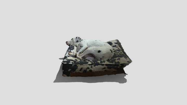 Dog Sketchfab 3D Model