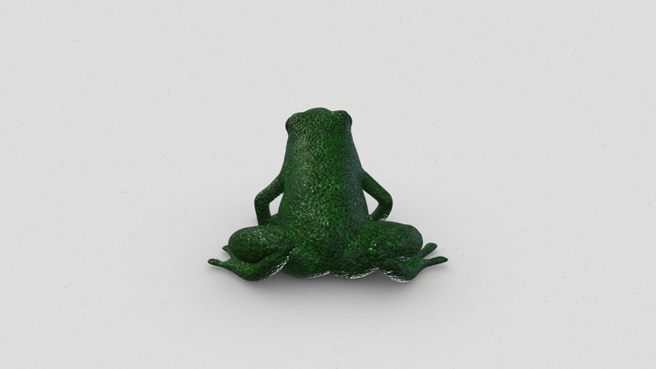 Frog 3D Model