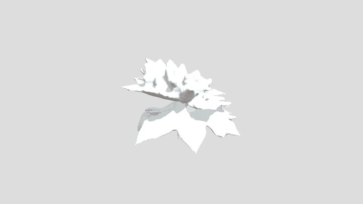 Generated 3D Model 3D Model