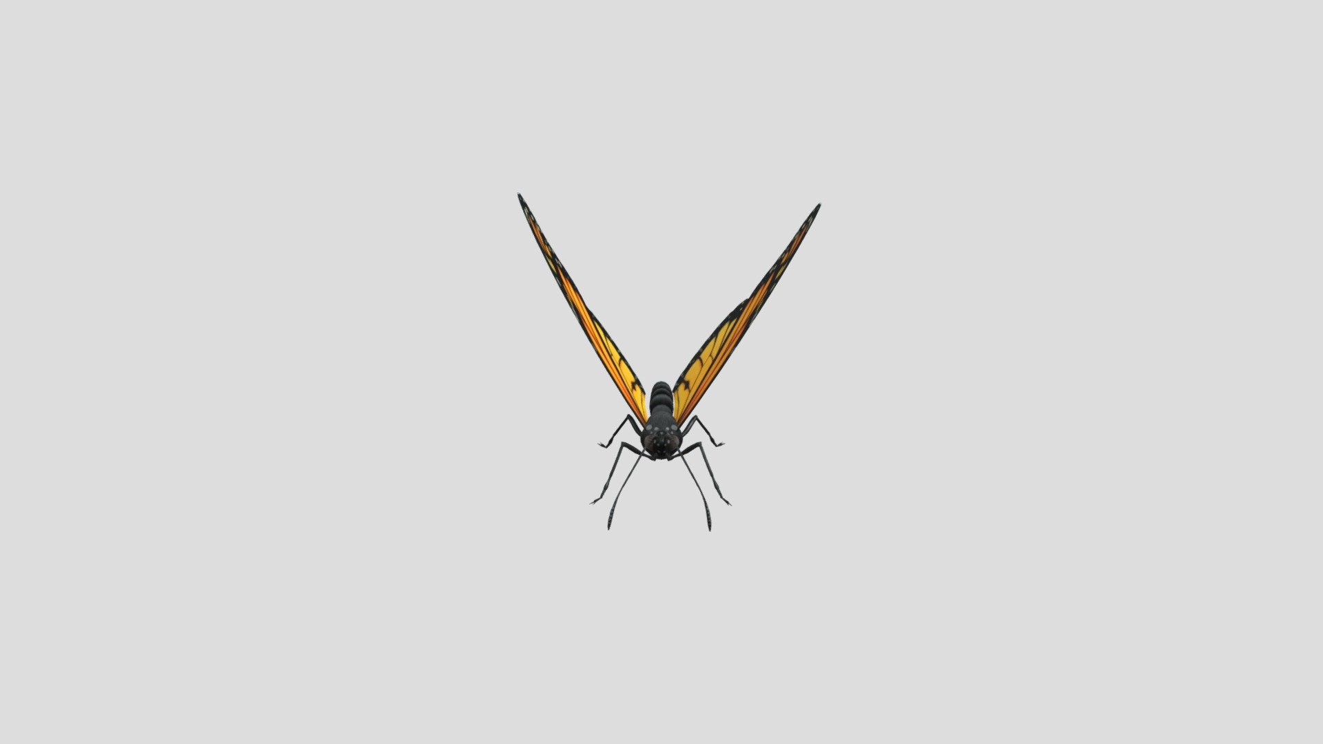 Butterfly — Sketchfab embed 3D viewer