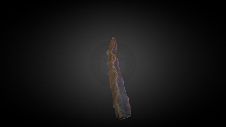 Nueva Carpeta (2) 3D Model