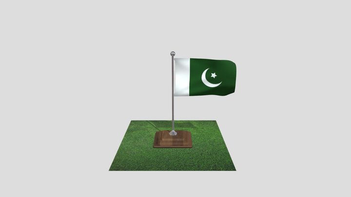 A Pakistani Flag