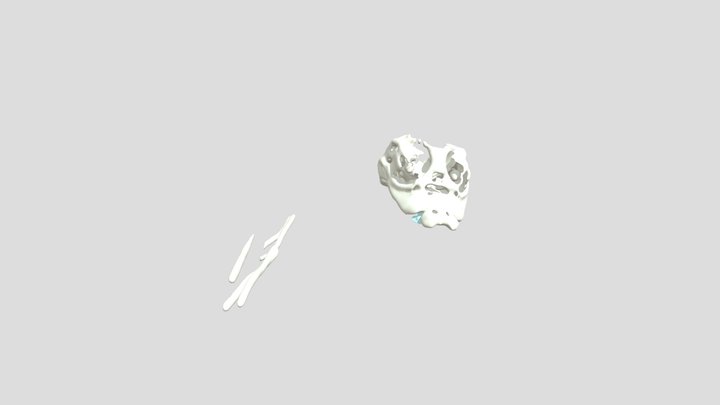 Segmentation 3D Model