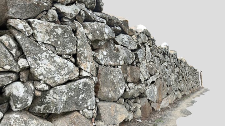 Medieval_Wall_2 [Low Res, Lidar Scan] 3D Model