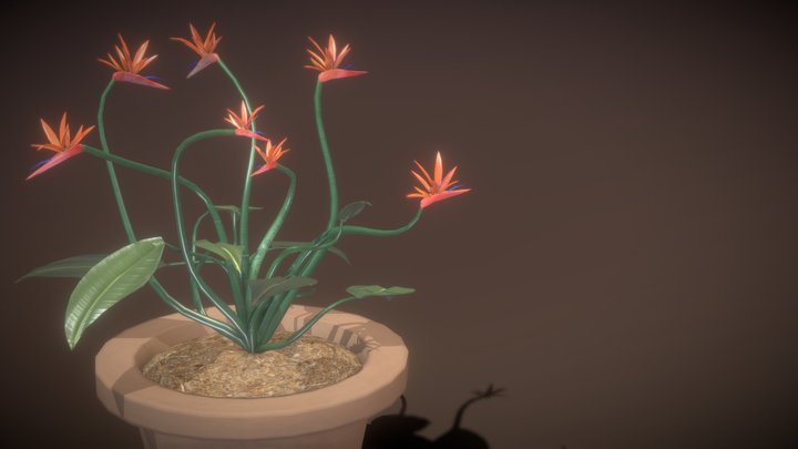 Potted Plant 3D Model