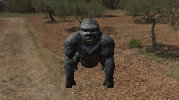 Gorilla 3D Model