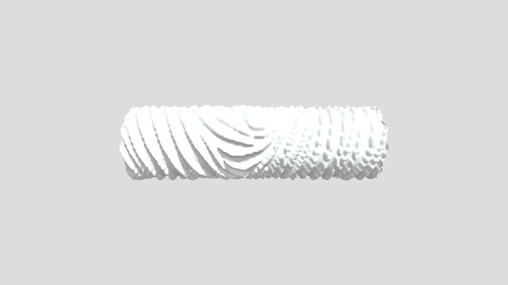 Zebra Stripe 1 3D Model