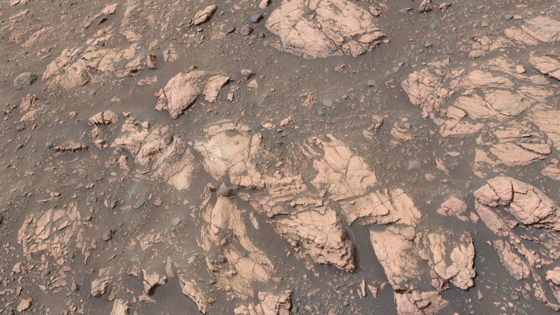 M2020 ZCAM -- Brown Mountain, sol 456