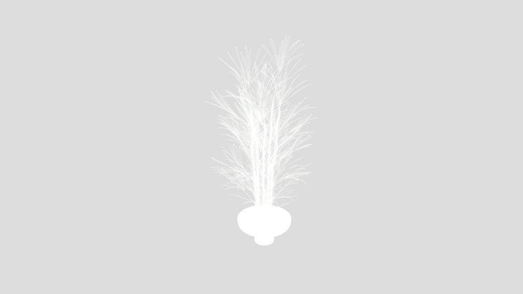 Rhapis Excelsa Lady Palm Hydro Care