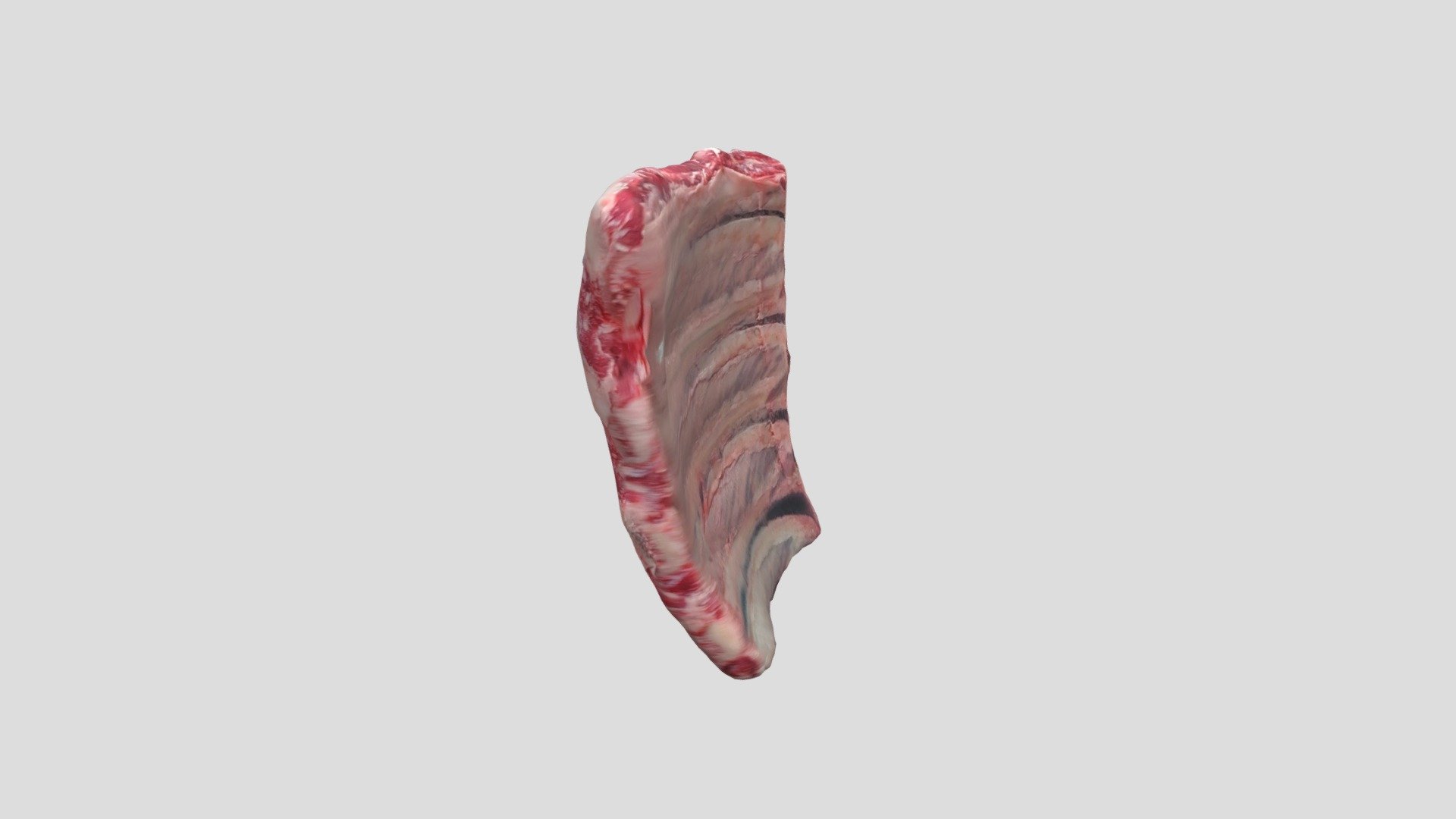 Ribs (AUSMEAT) By Kurt - 3D model by timgentle [e1c0a96] - Sketchfab