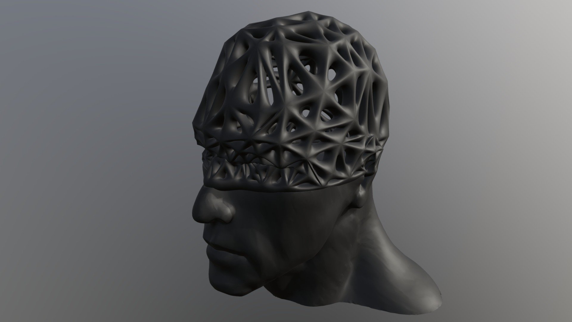 Male HSplit-Voronoi Head