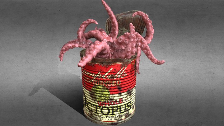 Octopus in a Can 3D Model
