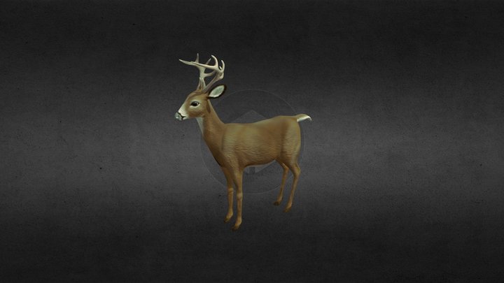Deer (3D Deer model is very low poly model ) 3D Model