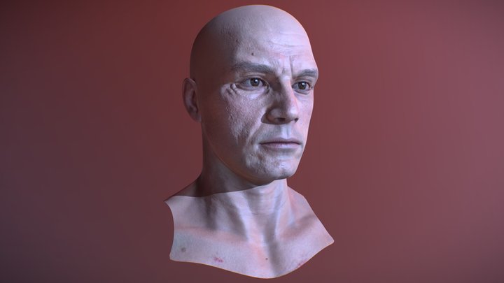 Man Head Model 3D Model