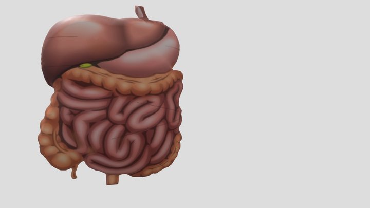 Ususku 3D Model