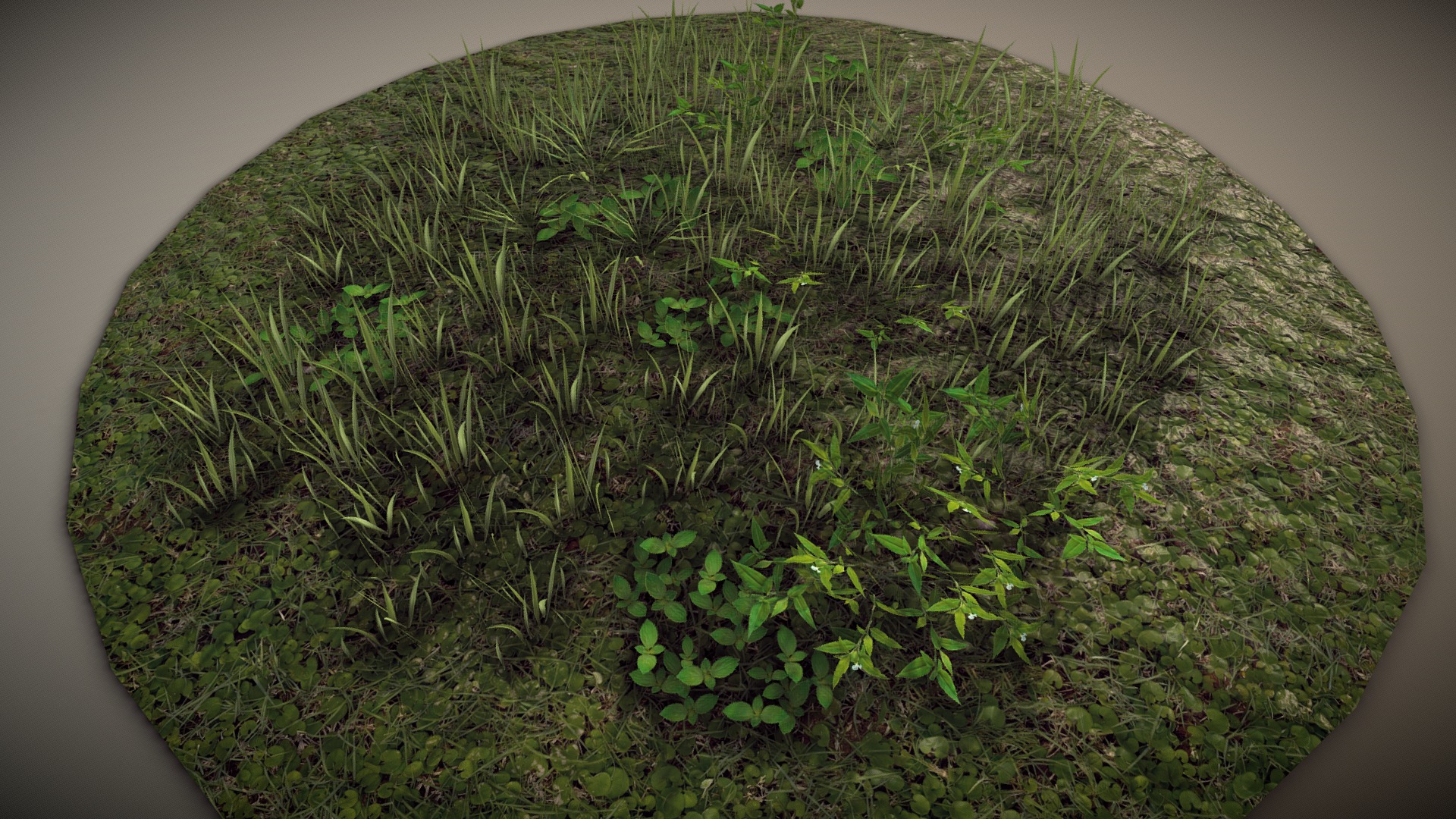 3D model Ground Foliage - This is a 3D model of the Ground Foliage. The 3D model is about a green plant in a pot.
