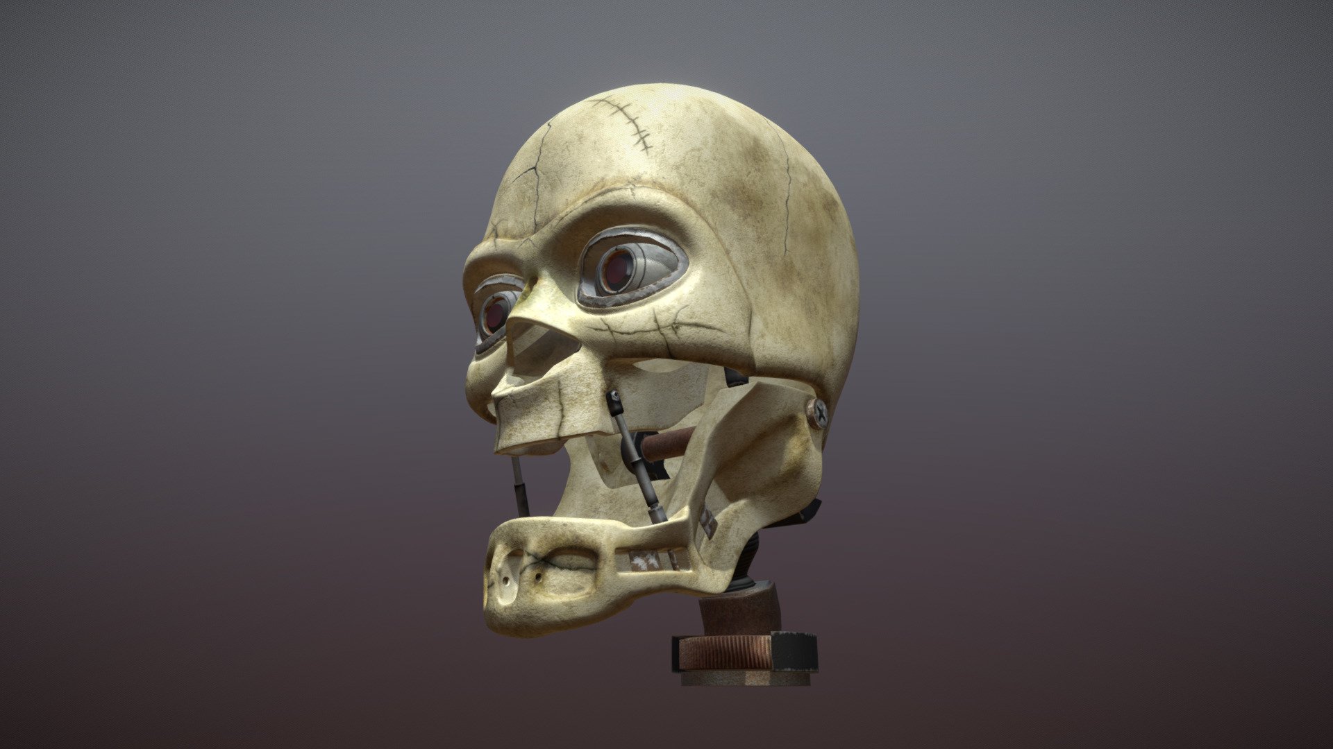 Human Skull
