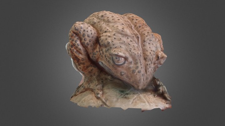 "Toad and Frog" by French Artist Jean Carriès 3D Model